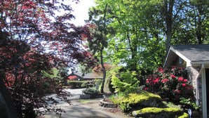Une allée menant à une maison, située sur le côté droit, et entourée d’une végétation luxuriante et de plantes en fleurs.