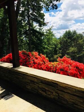 Property grounds - Stunning Views,  2 BR  2 BA  Convenient to UO, Autzen and The Springs (Eugene)