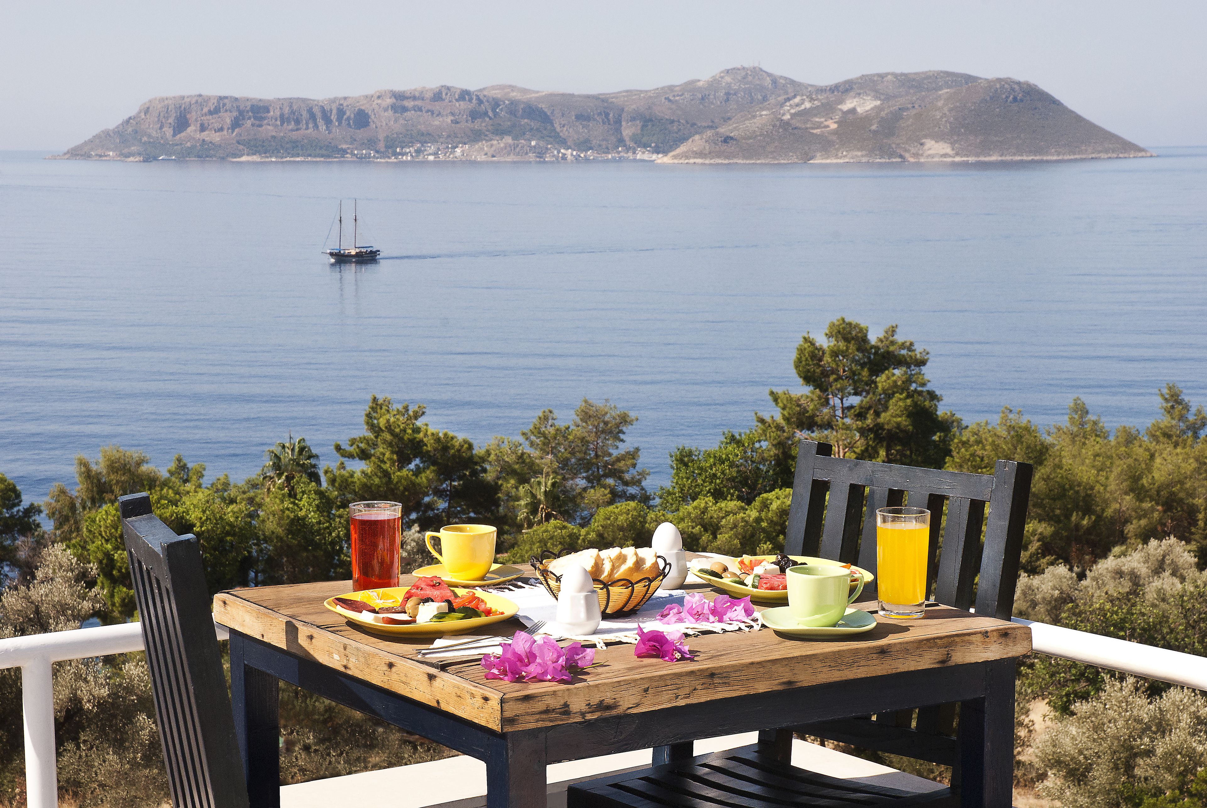 الإطلالة من المنشأة