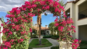 Un sentier bordé de magnifiques plants de bougainvilliers aux fleurs roses éclatantes, qui mène à un bâtiment doté d’un toit en tuiles et agrémenté d’une fontaine.
