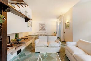 TV, fireplace, DVD player, books