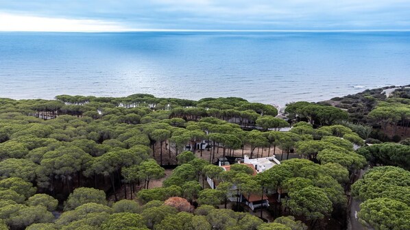 An aerial view of a coastal property surrounded by dense green trees, with a clear view of the sea and a few buildings.