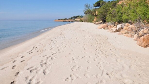På stranden
