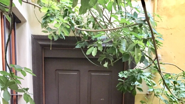 A brown door with a metal handle and a keyhole, flanked by a small potted plant and a metal railing.