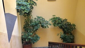 A staircase with a metal railing, potted plants, and a yellow wall.