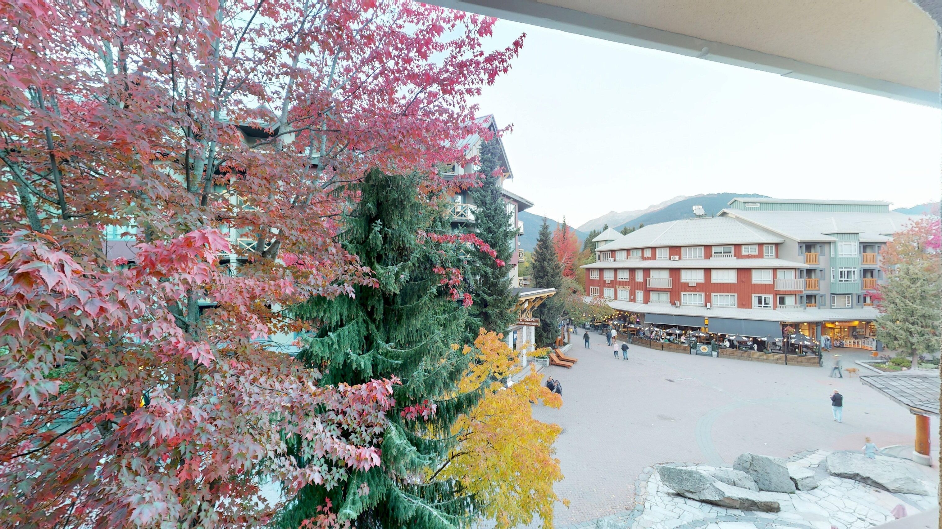 Vue depuis l’hébergement