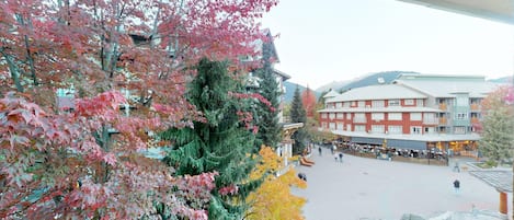 Vista desde la propiedad