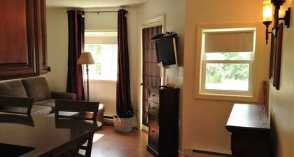 Beautiful condo less than 3 miles from the ski lift