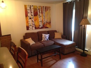 Televisión, chimenea y reproductor de DVD 