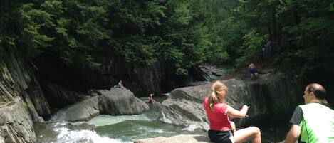 Eine natürliche Landschaft mit einem Fluss, der durch ein bewaldetes Gebiet fließt, mit großen Felsen und einem Wasserfall.