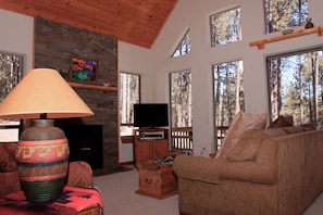 Smart TV, fireplace, video games, books