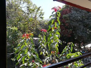 Jardín