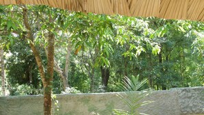 A covered outdoor area with a stone wall and wooden railing, surrounded by lush greenery. - Peace Heaven (Udawalawa)