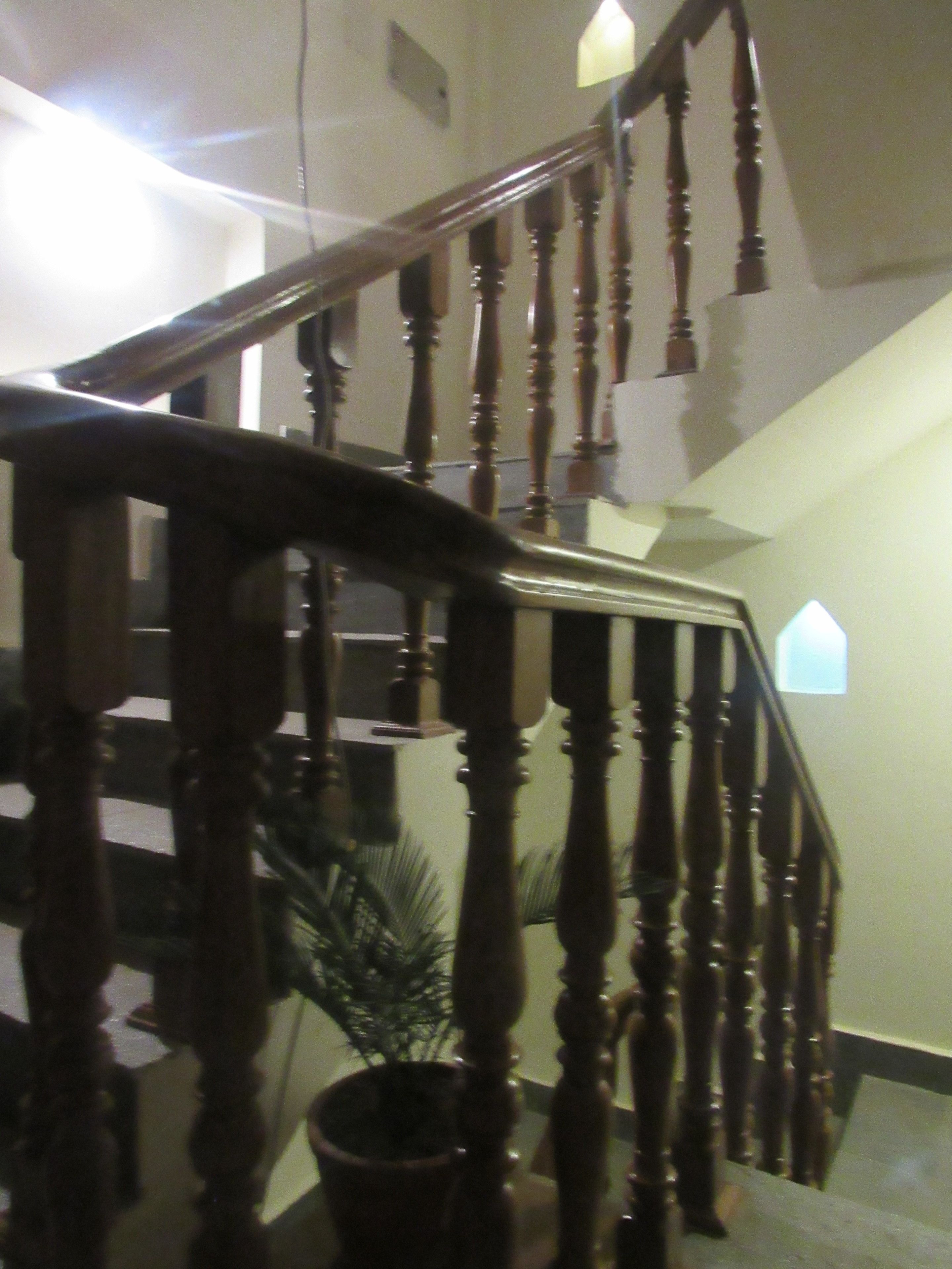 A wooden staircase with a handrail and a potted plant at the bottom.