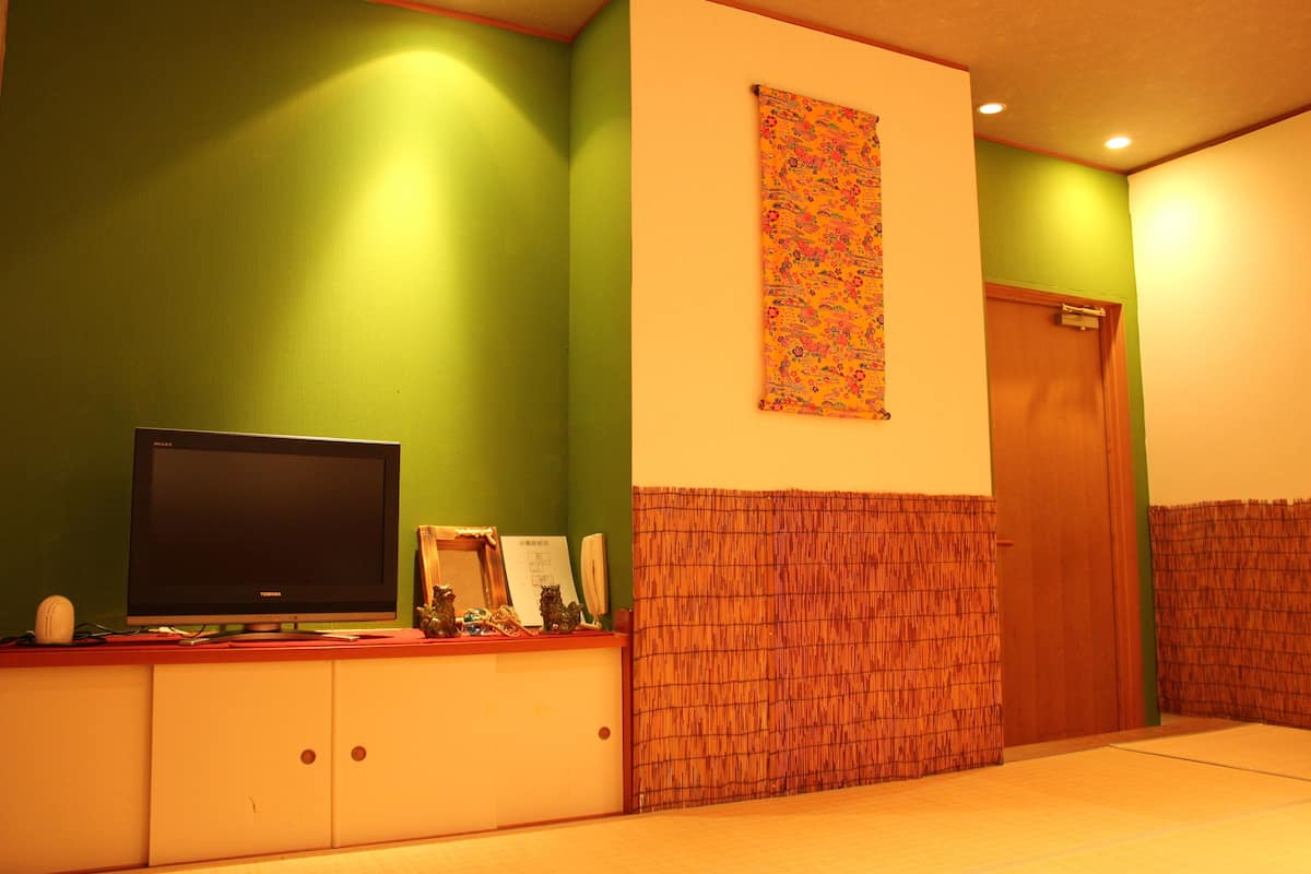 Une pièce avec un téléviseur posé sur un meuble, une porte et un mur décoré d’un motif.