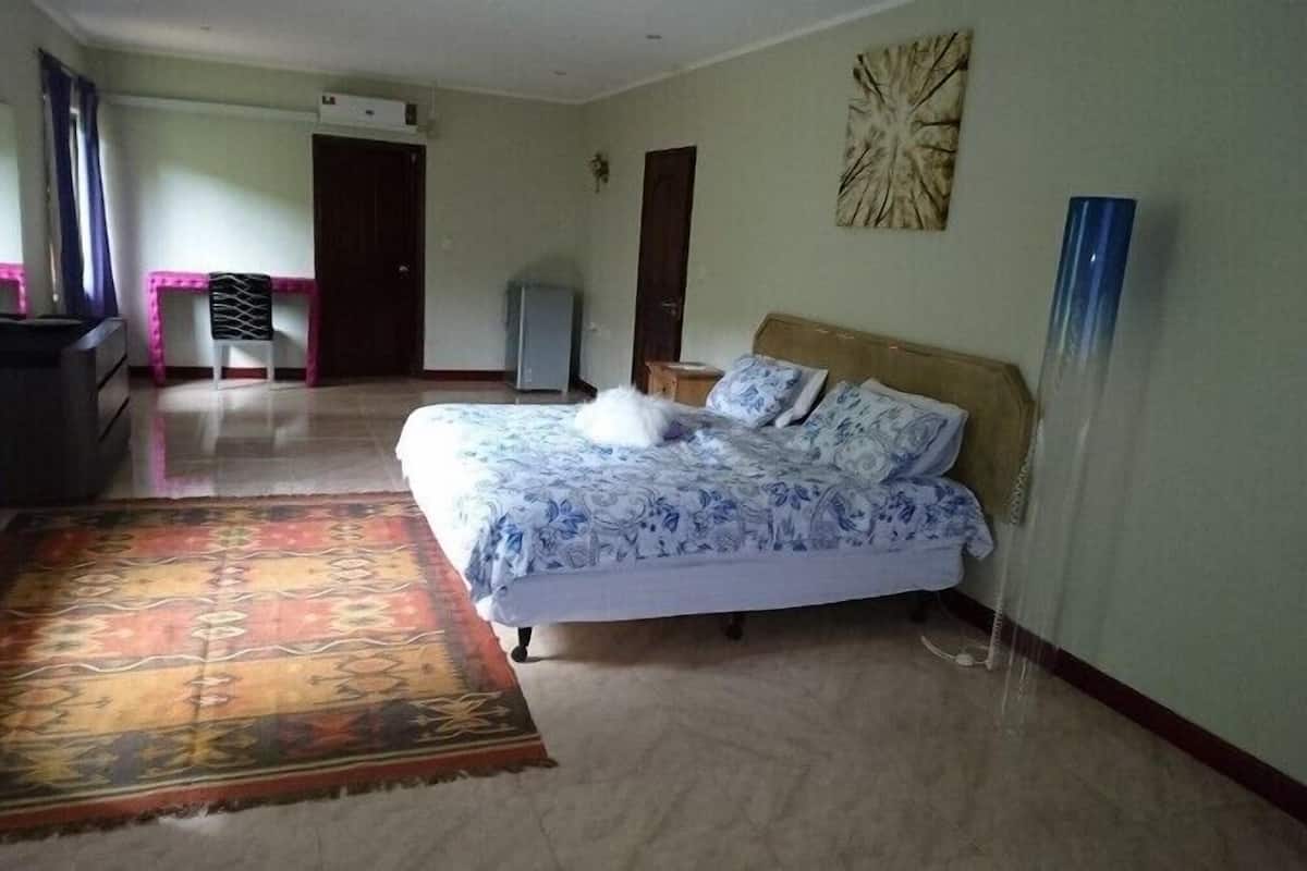 A bedroom with a bed, a rug, a dresser, and a door.