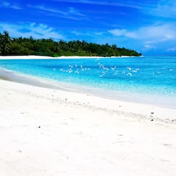 En la playa, playa de arena blanca, camastros y sombrillas