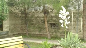 Enjoy the serene atmosphere of this tranquil outdoor space, surrounded by lush greenery and a beautiful flowering plant.