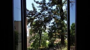An open doorway leading to an outdoor patio area with a table and chairs, surrounded by potted plants and a large tree. - Hotel Las Chirimoyas  (Salta)