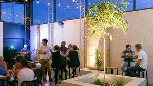 An outdoor dining area with tables and chairs, a stage with a guitarist, and a large tree. - The Cally Hotel (Warrnambool)