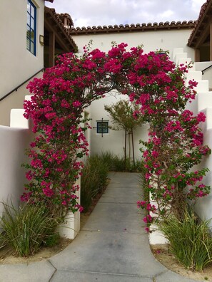 Property grounds - Beautifull 1st Floor, Corner Resort Suite, Updated with Great Views 2BR#065127 (La Quinta)