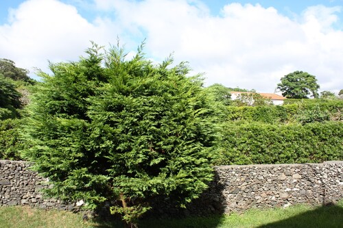 Sea and Mountain Apartment