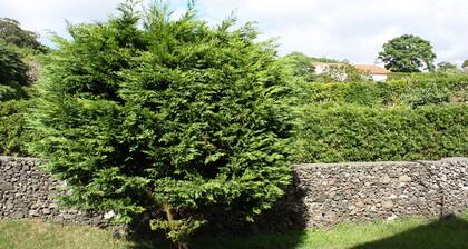 Sea and Mountain Apartment