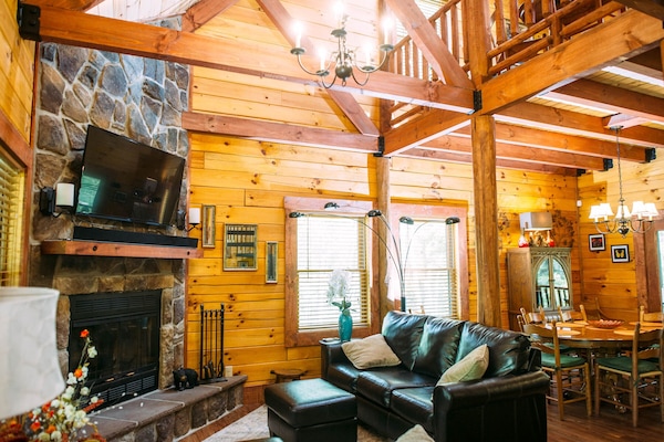 TV, fireplace, video games, DVD player