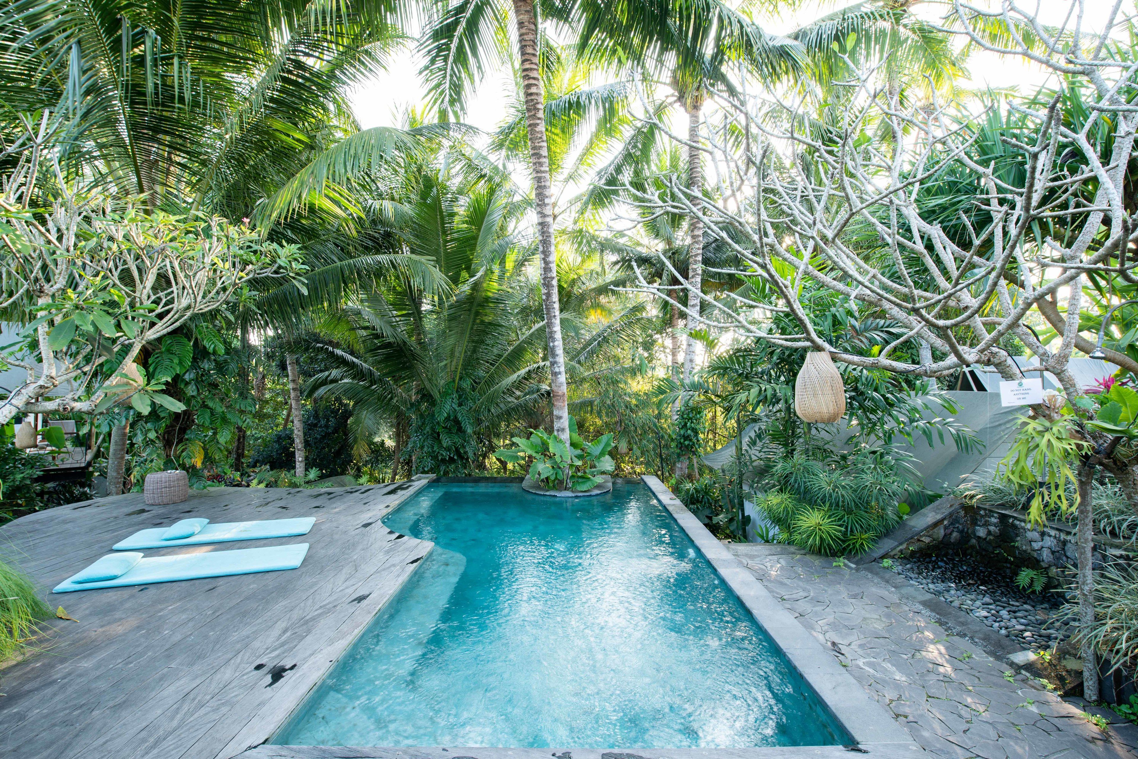 Foto - Ubud Tropical - Hostel