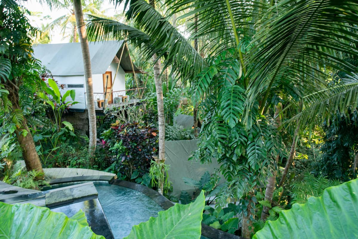Un jardín tropical con piscina, palmeras y una casa de techo inclinado.