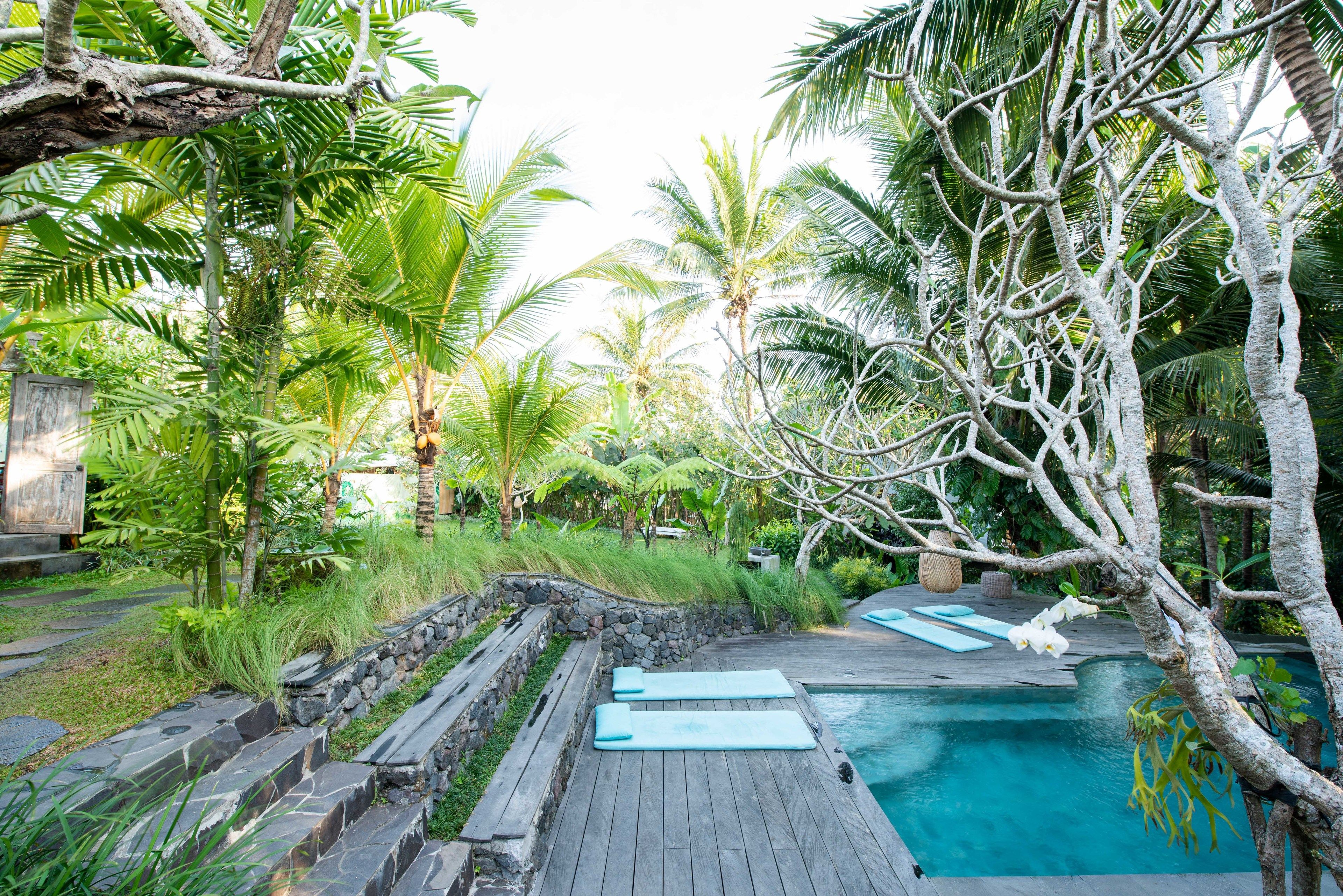 Foto - Ubud Tropical - Hostel