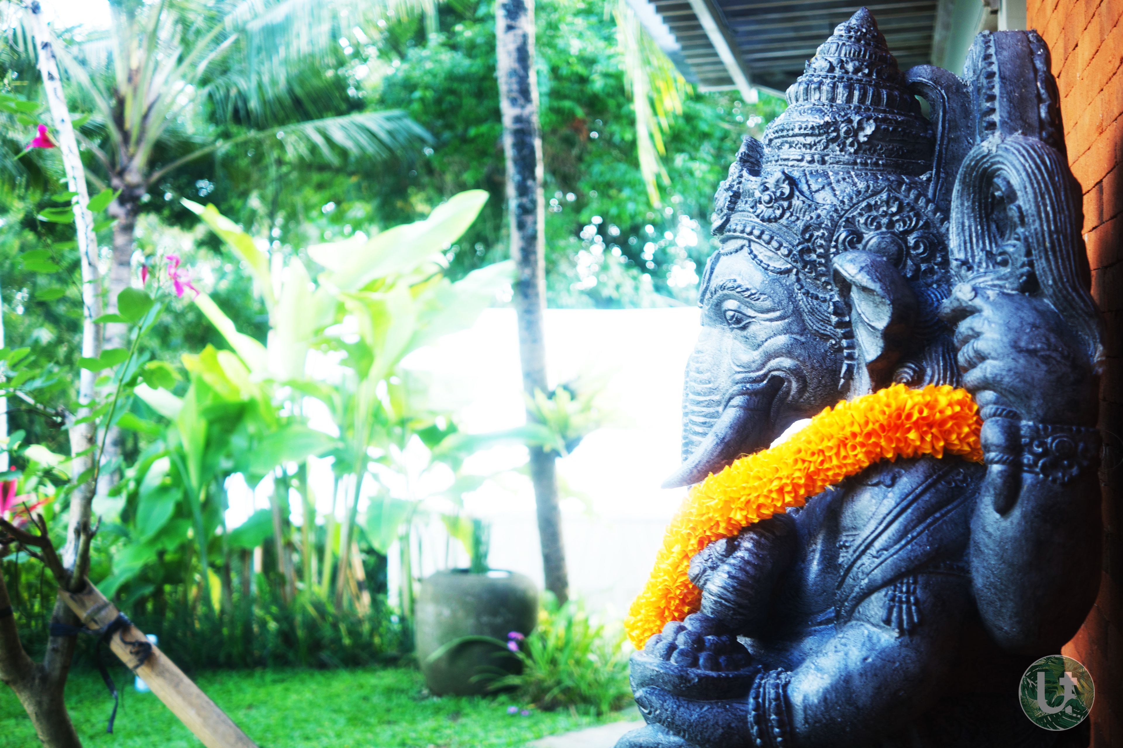 Foto - Ubud Tropical - Hostel