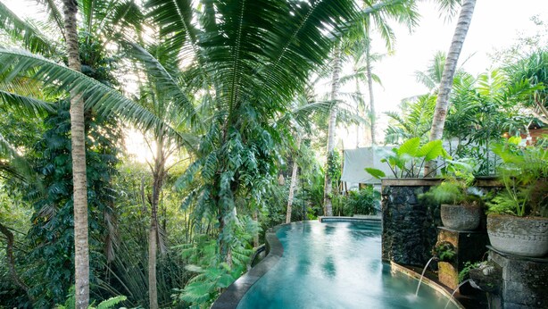 A circular pool surrounded by lush tropical vegetation and stone structures. - Ubud Tropical - Hostel (Ubud)
