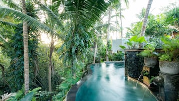 Outdoor pool, sun loungers