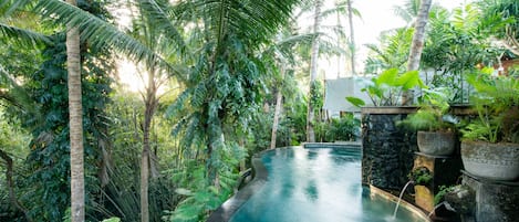 Outdoor pool, sun loungers