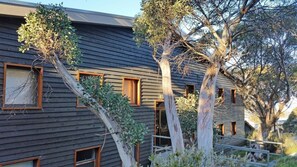 Front of property - Cobbler 3 (Mount Buller)