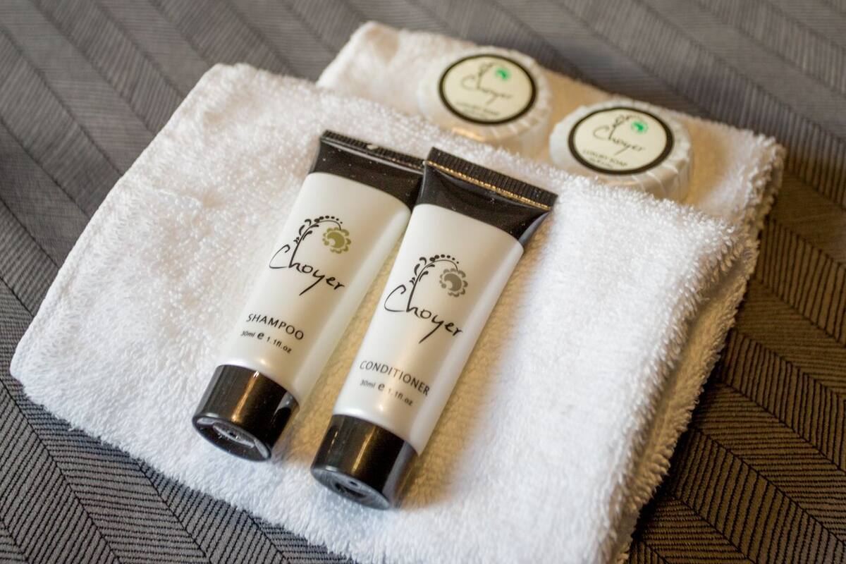 shower, free toiletries, hair dryer, towels