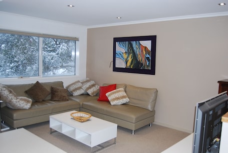 Televisión de pantalla plana