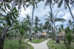 Garden - Le Nusa Beach Club (Lembongan Island)