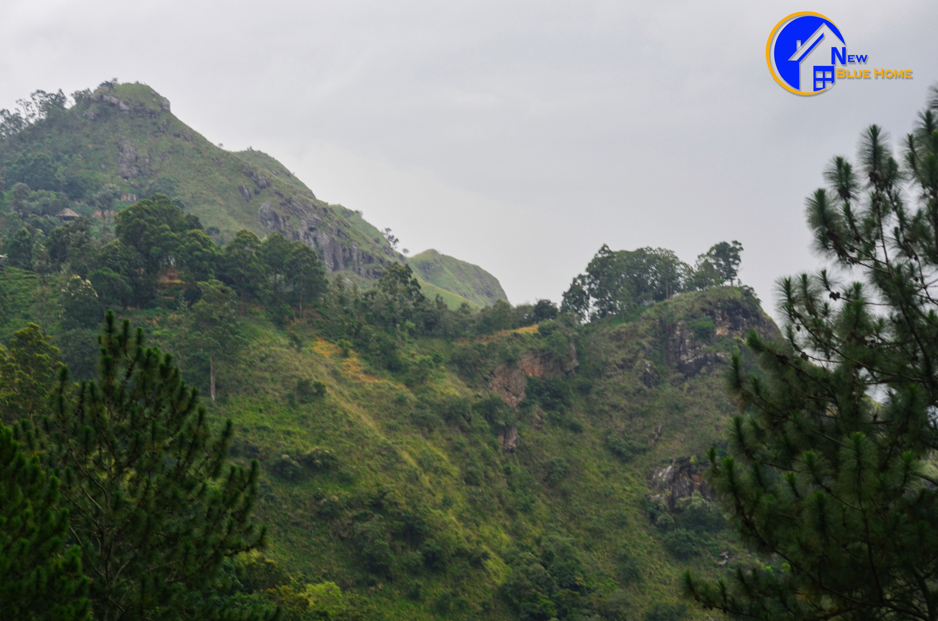 A mountainous landscape with dense greenery and trees.