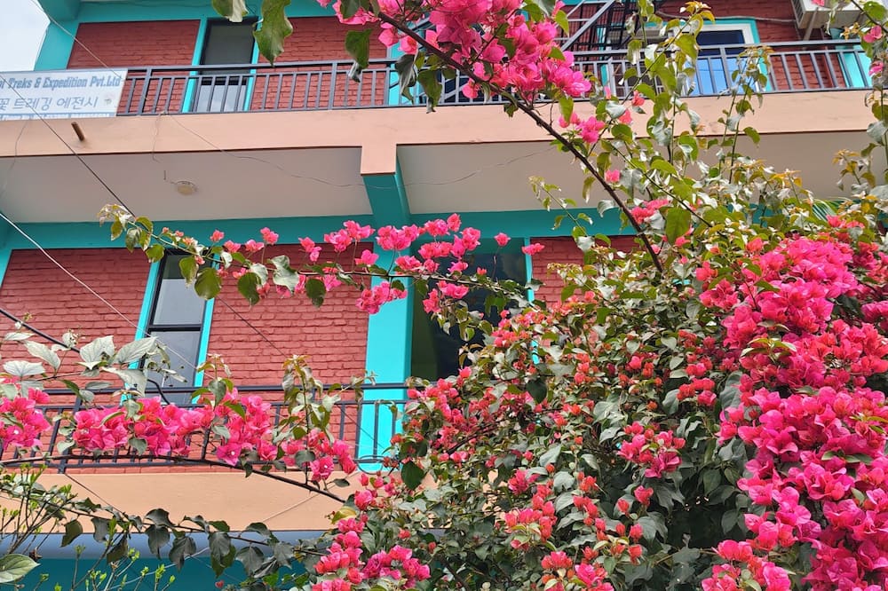 Harry Guest House & Restaurant