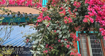 Harry Guest House & Restaurant