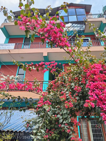 Harry Guest House & Restaurant