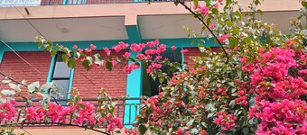 Harry Guest House & Restaurant