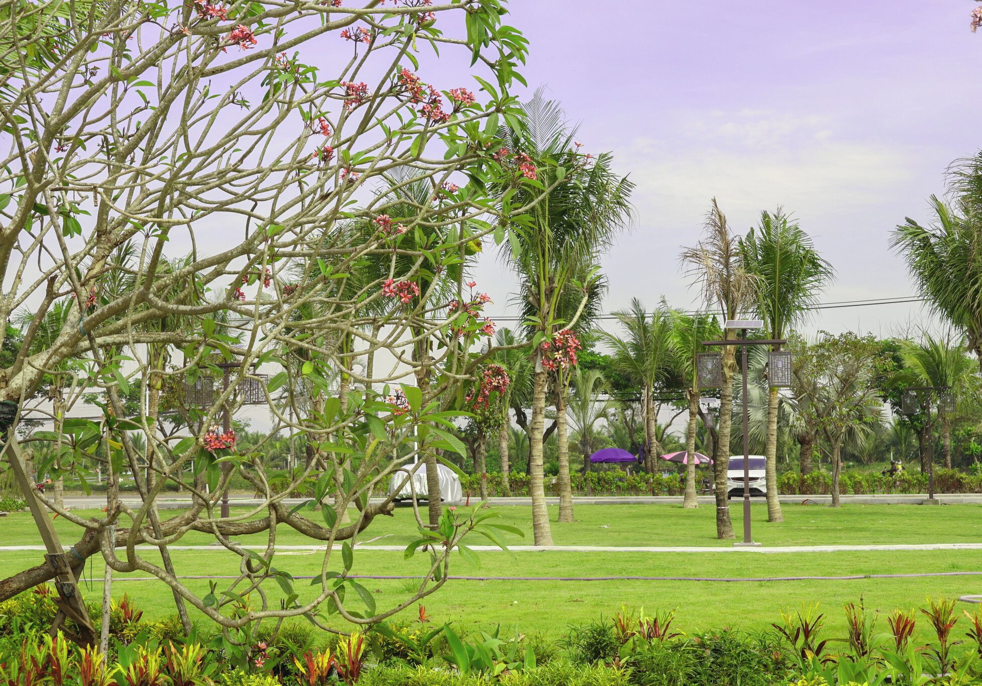 signature twin room, pool view | view from room