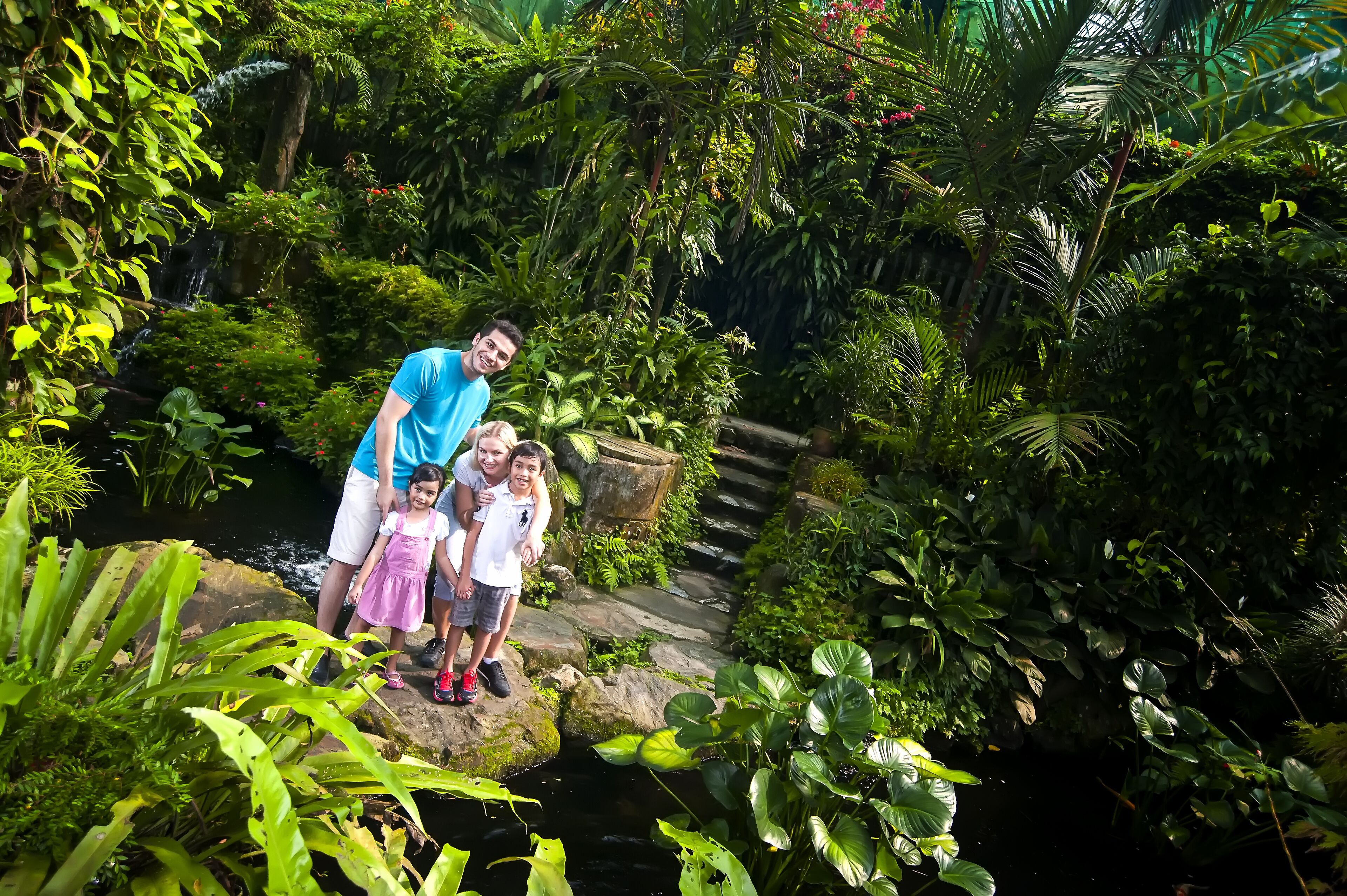 A family standing on a rock by a waterfall in a lush garden.
