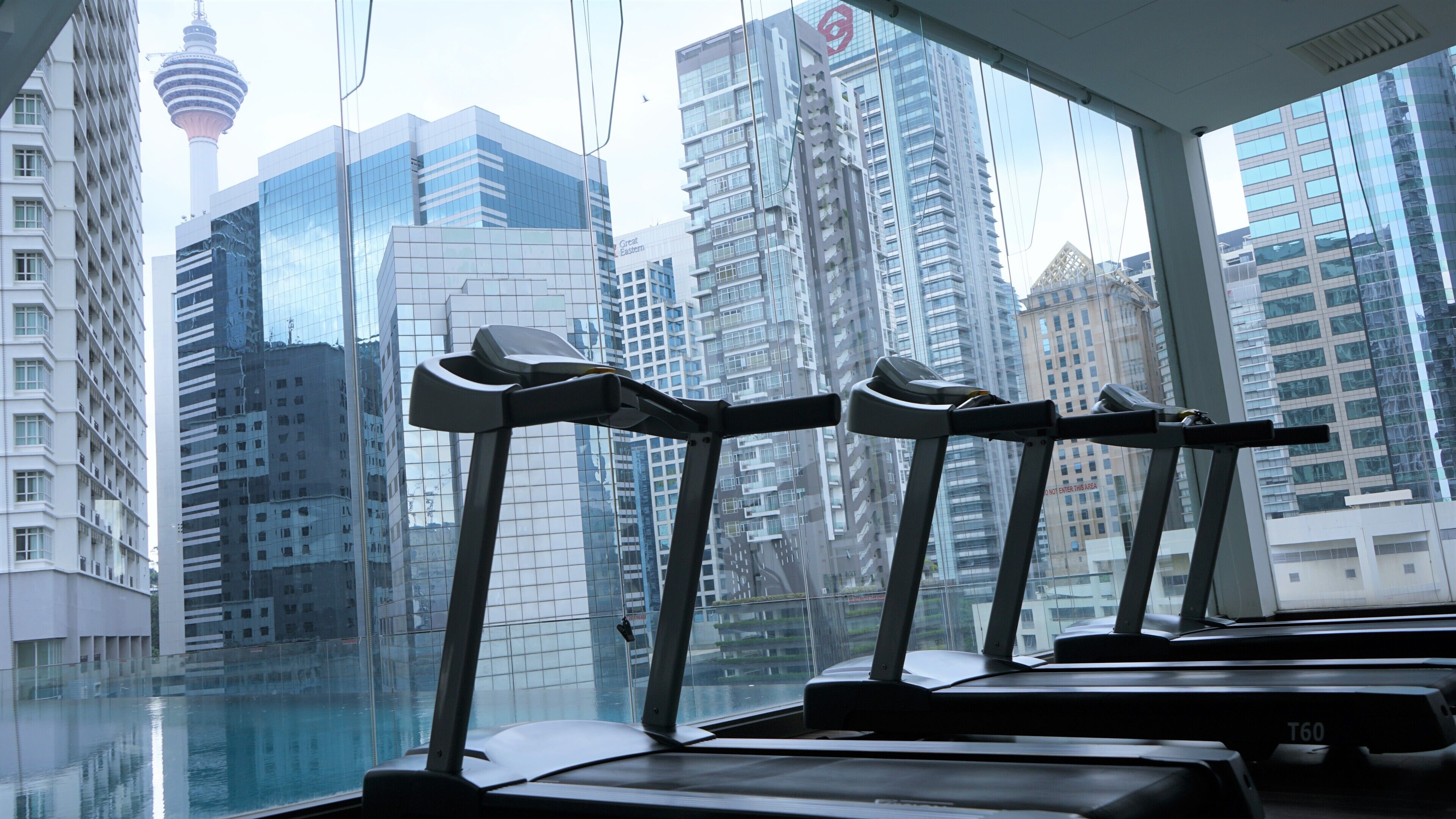 A gym with treadmills and a city view through large windows.