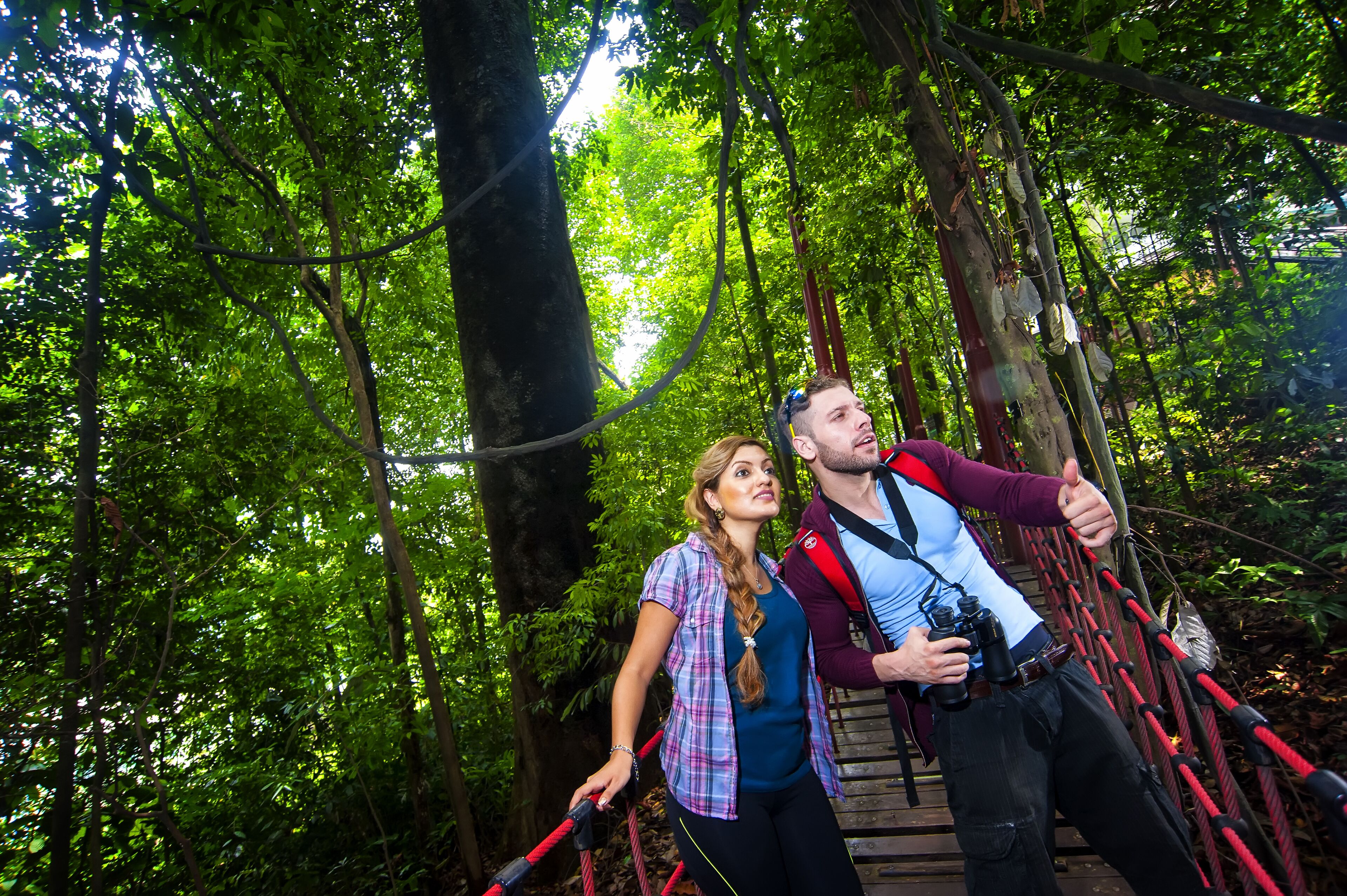 A couple on a suspension bridge in a forested area.