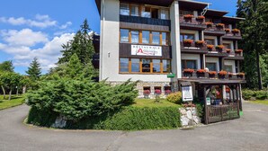 Exterior - Hotel Andromeda Ramzová (Lipova-Lazne)