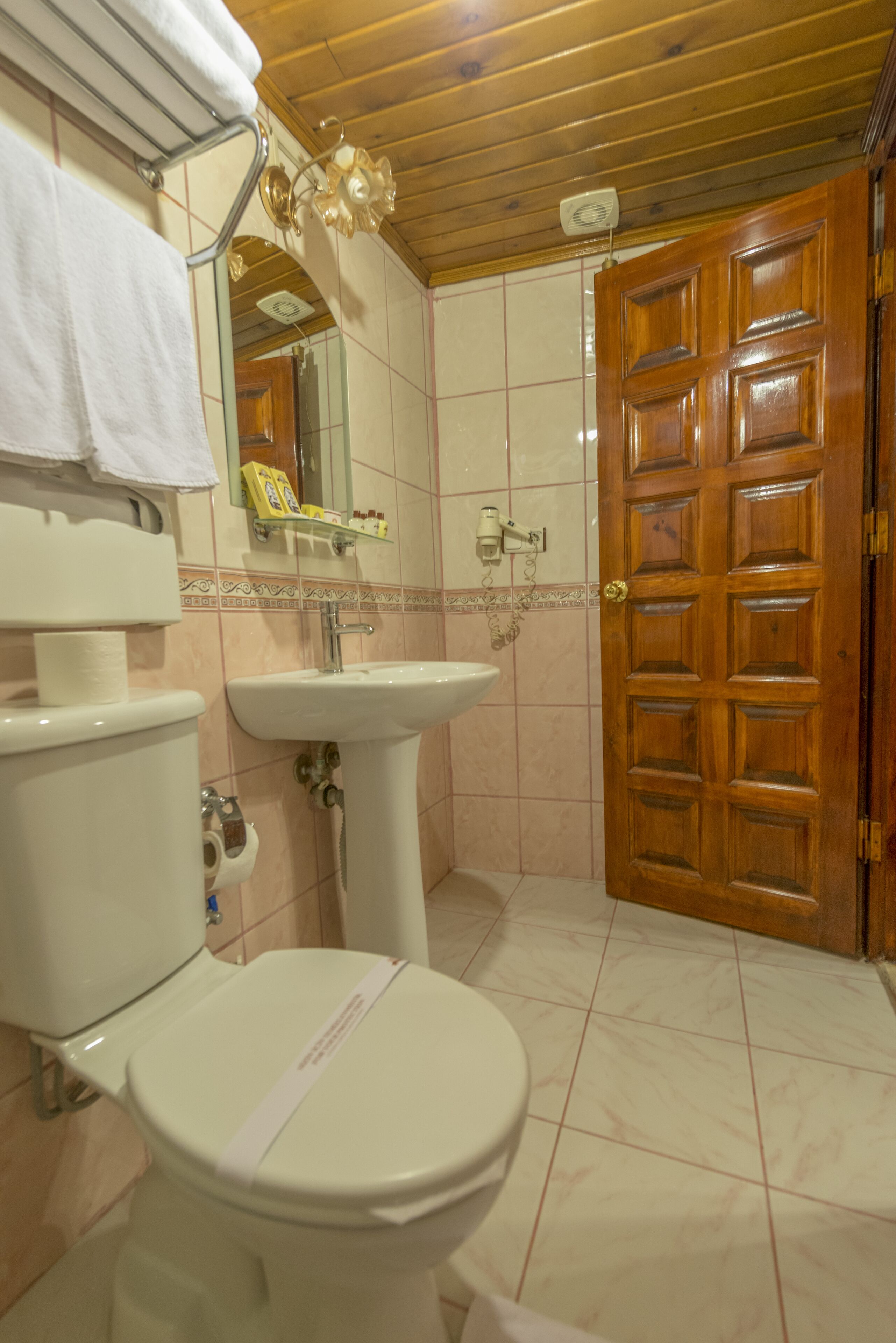 A bathroom with a toilet, sink, and wooden door.
